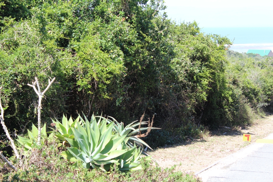 0 Bedroom Property for Sale in Begha Eastern Cape